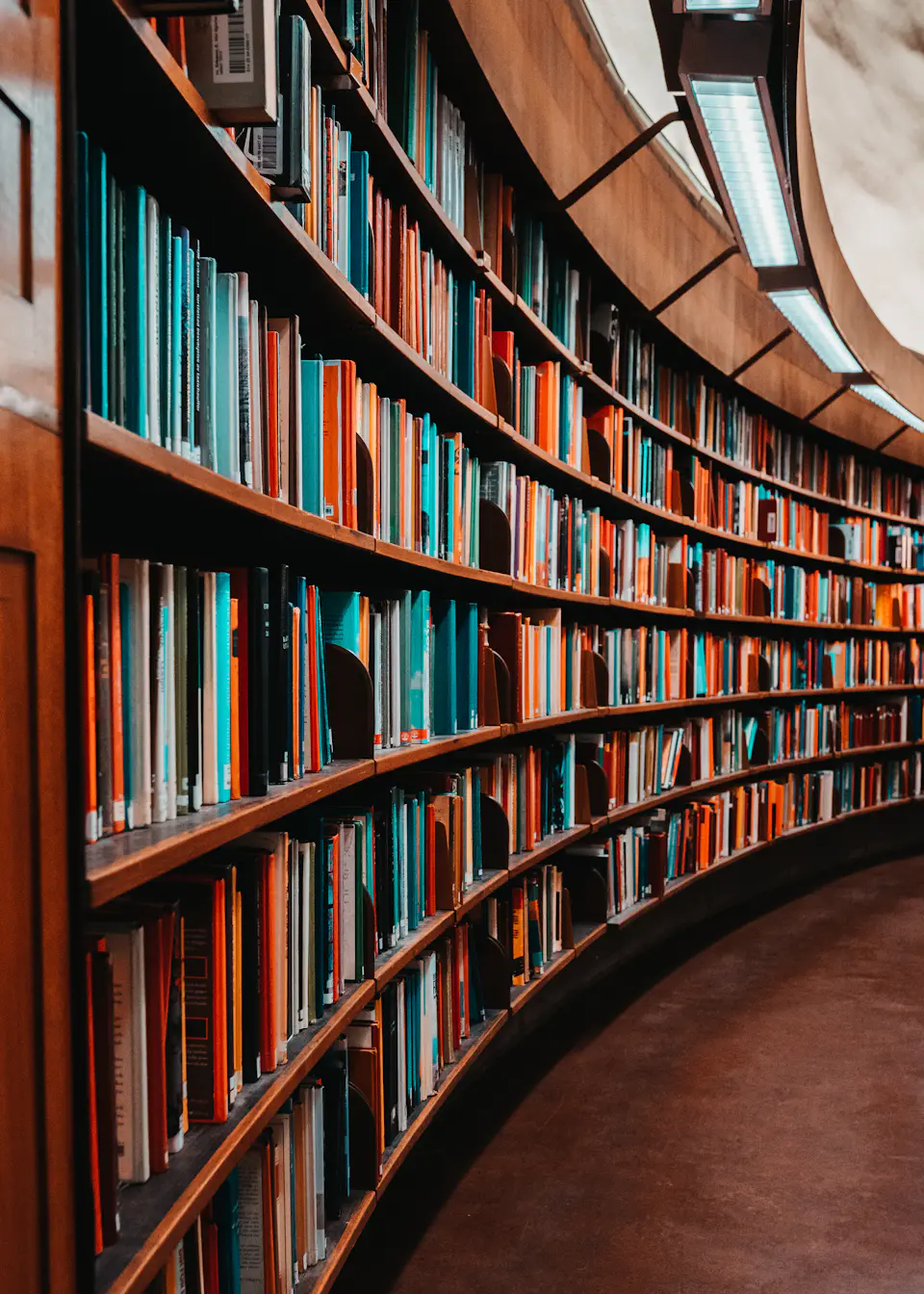 Estantes de livros em uma biblioteca, imagem ilustrativa